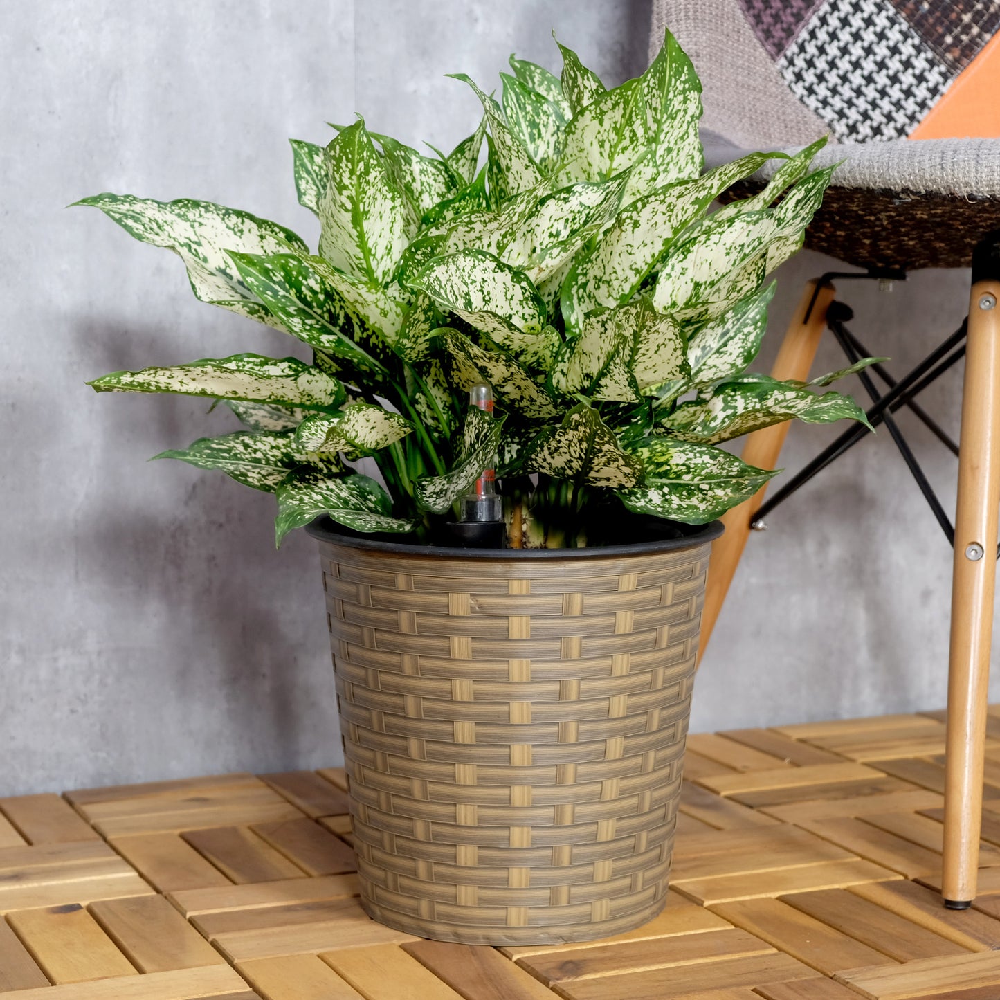 10.2" Self-watering Wicker Decor Planter for Indoor and Outdoor - Round - Natural