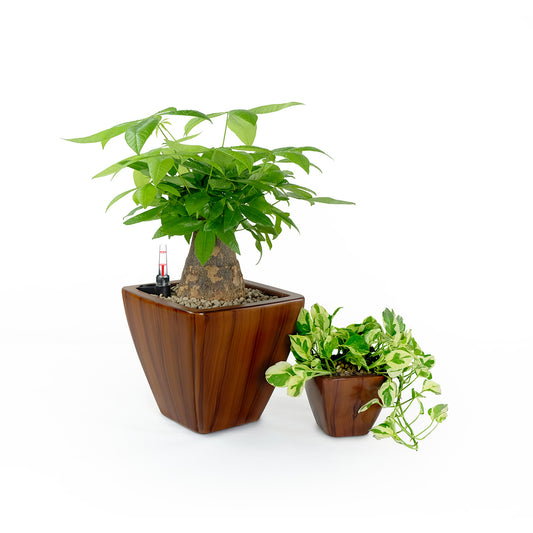 2-Pack Smart Self-watering Planter Pot for Indoor and Outdoor - Dark Wood - Square Cone Self-Watering Planter as Pic D0102HR2PYP-as Pic