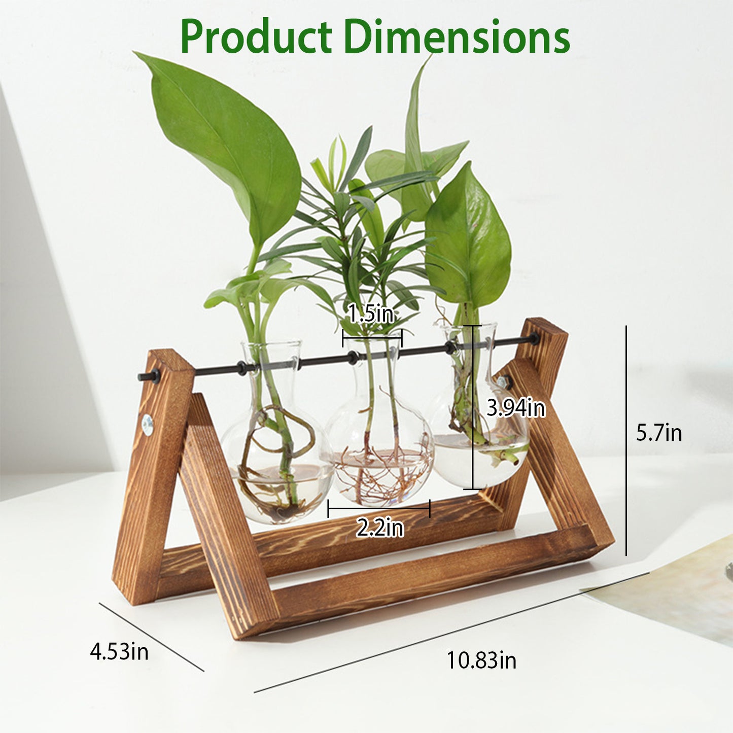 Desktop Glass Planter Bulb Plant Terrarium with Wooden Stand