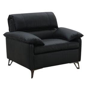 Eilene Black Top Grain Leather Chair