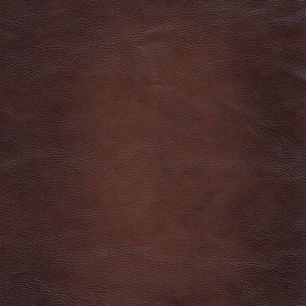 Brookfield Top Grain Leather Chair - Image 5