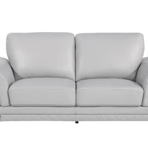 Leather Loveseats
